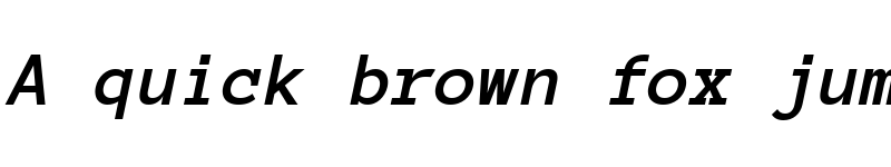 Preview of Anonymous Pro Bold Italic
