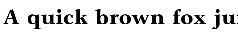 Preview of Axiomatic Black SSi Extra Bold