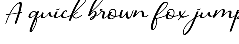 Preview of BarbaraCalligraphy-Italic ?
