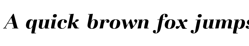 Preview of Basilia T Bold Italic