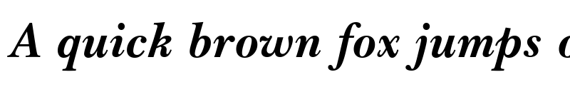 Preview of Basker Hand URW Bold Italic