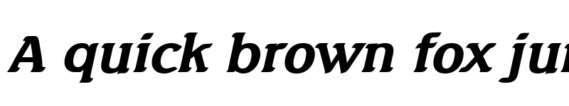 Preview of Beach Wide Bold Italic