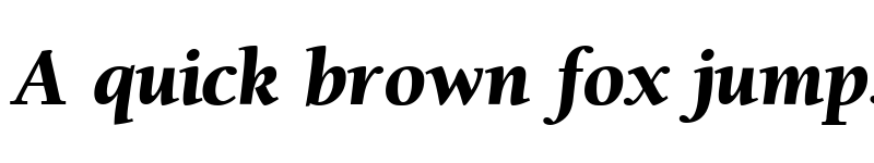 Preview of BergmannOldStyleBlack RegularItalic