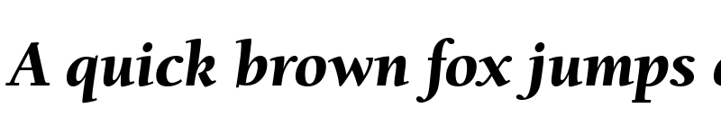 Preview of BerkeleyOldStyItcTEEBla Italic