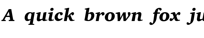 Preview of Bits_ Charter Bold-Italic