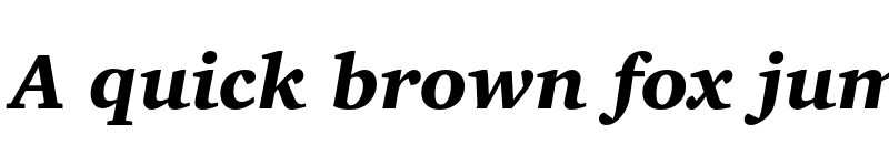 Preview of Bitstream Charter Black OSF Italic