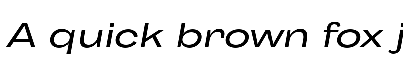 Preview of Body Grotesque Large Trial Italic