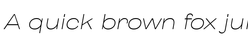 Preview of Body Grotesque Large Trial Light Italic