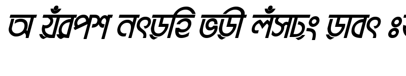 Preview of BrahmaputraMJ Bold Italic