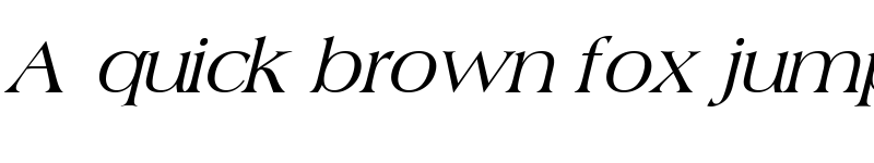 Preview of Broadsheet LDO Italic