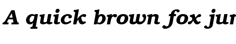 Preview of Brooklyn Bold Italic