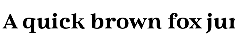 Preview of Cabrito Serif W05 t Black Extended