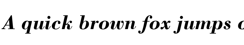 Preview of Capelli Bold Italic