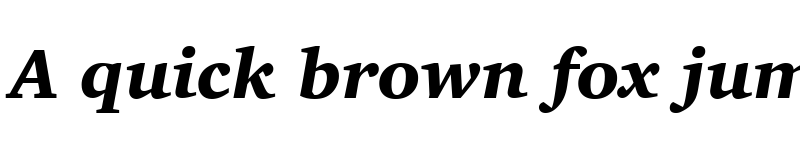 Preview of Charter OSF BT Black Italic