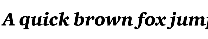 Preview of CharterITCReg Bold Italic