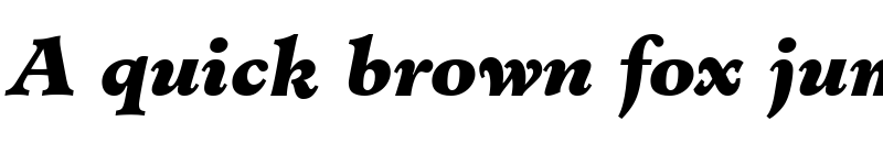 Preview of Cleric Black SSi Black Italic