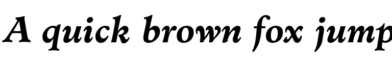 Preview of Cleric SSi Bold Italic