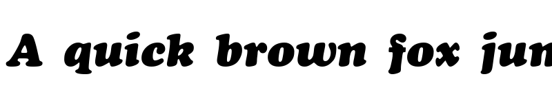 Preview of Cookie Black Italic