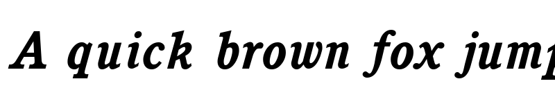 Preview of Cushing Bold Italic