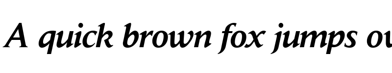 Preview of DaylightMedium RegularItalic