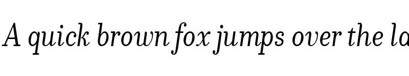 Preview of Donatora Italic