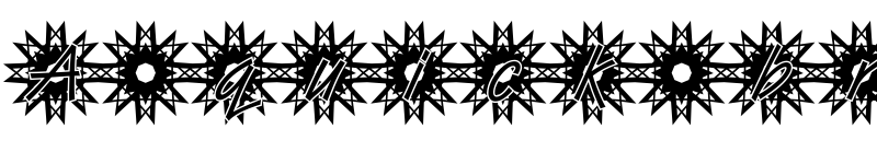 Preview of DTCVanDijkM50 Regular
