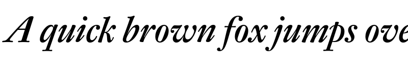 Preview of DTL Fleischmann Display Medium Italic