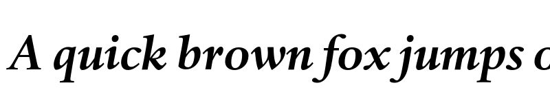 Preview of DTL Haarlemmer SD Bold Italic