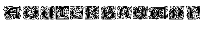 Preview of Eichenlaub Initialen Regular
