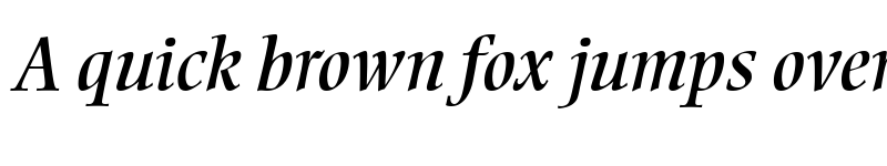 Preview of EllingtonMT RomanItalic