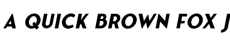 Preview of Fonseca Bold Oblique