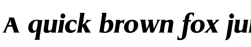 Preview of Griffon Extrabold Italic