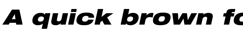 Preview of Helvetica93-ExtendedBlack BlackItalic