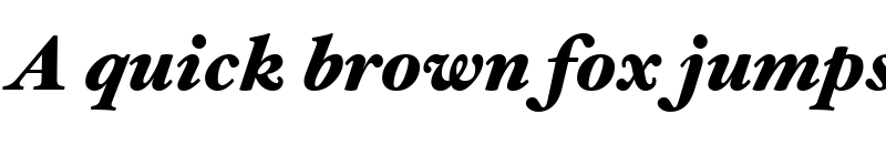 Preview of Hoefler Text Black Italic