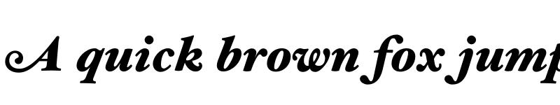 Preview of HoeflerText Black--Swash Italic