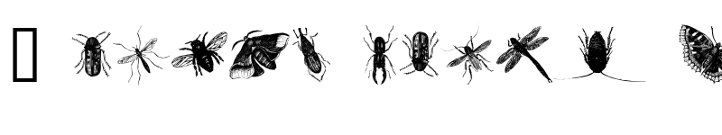 Preview of insects one Regular