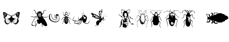 Preview of Insects1 Regular