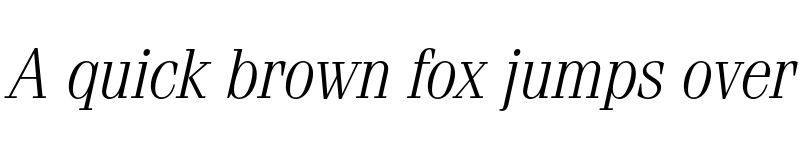 Preview of ITC Fenice Light Italic