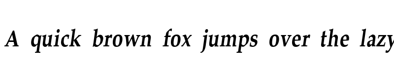 Preview of JS Rapee Bold Italic