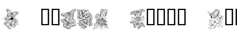 Preview of KR Beautiful Butterfly Regular