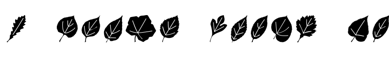 Preview of LeafAssortment Regular