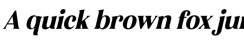 Preview of Lebagof Italic