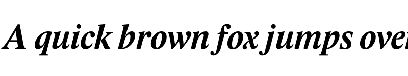 Preview of Lido STF CE Bold Italic