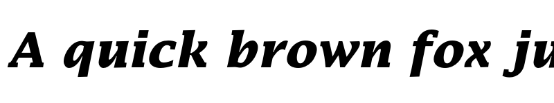 Preview of Lucida Bold Italic