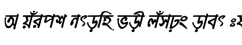 Preview of MeghnaMJ Bold Italic