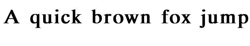 Preview of MicroTiempo-Normal bold Bold