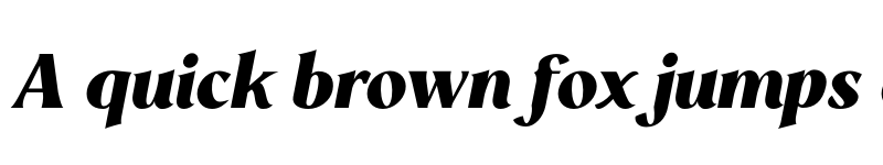 Preview of Mondia ExtraBlack Italic