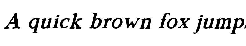 Preview of Morgen Bold Italic