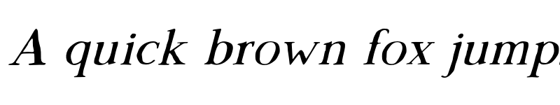 Preview of Morgen Italic