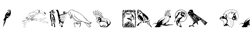 Preview of Moyra's Parrots Regular